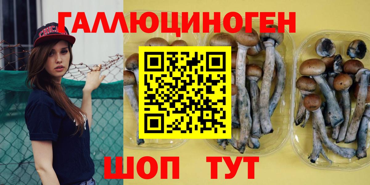 Alpha PVP Чита